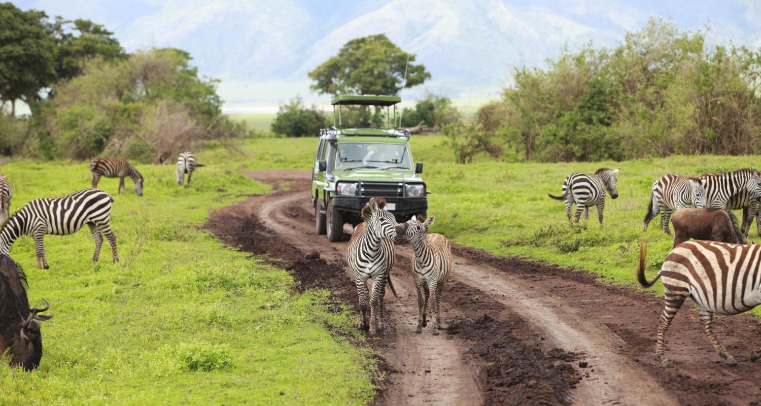Wildebeest crossing the Serengeti plains